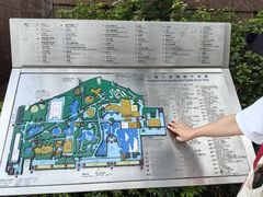 -九龙公园