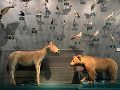 -中国湿地博物馆