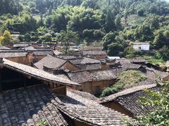 -杨家堂村