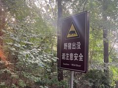 -紫金山山顶公园