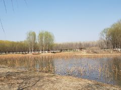 -东郊湿地公园