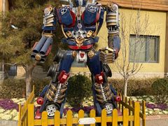 -南宫五洲植物乐园