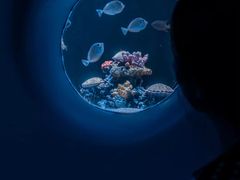 -欢乐海岸海洋奇梦馆