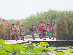 -洪湖生态旅游区