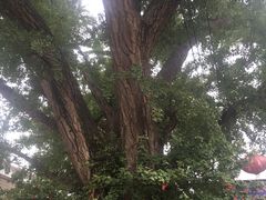 -康陵正德春饼宴26号