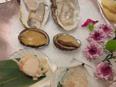 -汤城·料青山