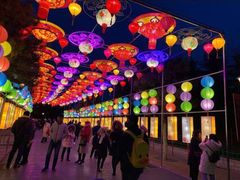 -青岛方特梦幻王国