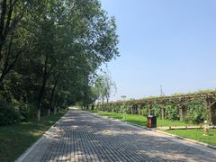 -北京张裕爱斐堡酒庄