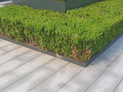 -上海科技馆(地铁站)