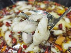 -金三可市井水煮鱼(金碧园店)