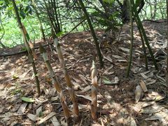 -郴州特产舜华临武鸭(郴州西站店)