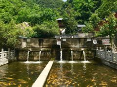 -建社鱼庄(管坪店)