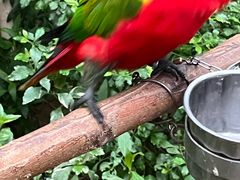 -南宫五洲植物乐园