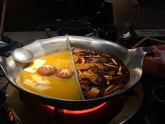 台式麻辣花胶鸡鸳鸯锅-湊湊火锅·茶憩(世博大道店)