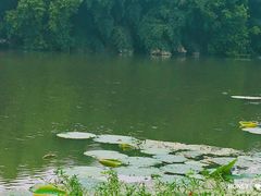 -艾溪湖湿地公园