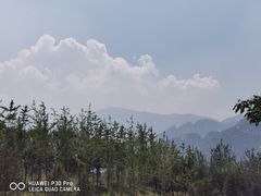 -凤凰岭蒙古包风味餐厅
