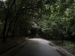 -灵谷景区