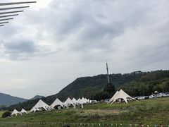 -风云岭森林公园