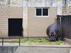 -合肥野生动物园