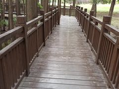 -东湖落雁景区