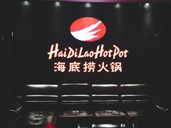 -海底捞火锅(泉城路店)