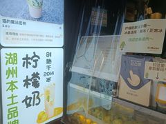 -猫的魔法密林(衣裳街店)