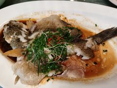 清蒸笋壳鱼-博多新记·粤菜(复兴店)