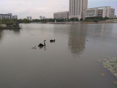 -江南大学(蠡湖校区)