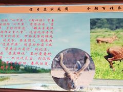 -北京麋鹿生态实验中心