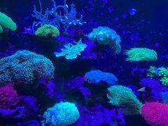 -海合安成都极地海洋公园