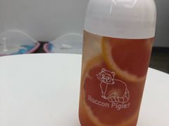 -浣熊柯尔鸭土拨鼠·电玩咖