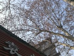 -袁大头包子(光华路店)