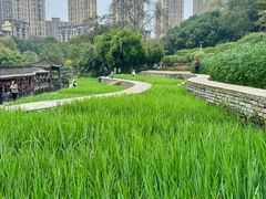-龙头寺公园