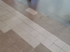 -小米之家(世博源店)