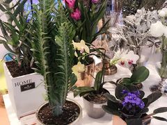 景观位-CAKE BOSS 蛋糕老板(北京世纪金源购物中心)