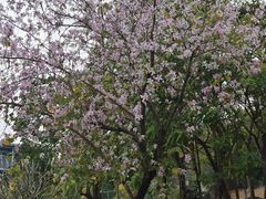 -中国移动南方基地