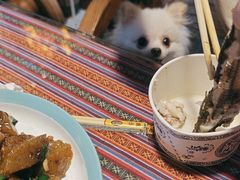 -鱼乐岛餐厅·户外花园主题餐厅