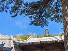 -雁门关景区