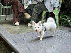 -绿房子方寸咖啡(星海名城店)