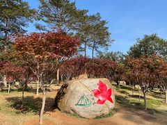 -广州市帽峰山景区