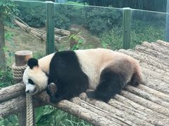 -大连森林动物园