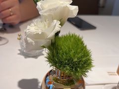 -王品牛排(郑州大卫城店)