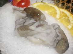 -渔傅·蓝海岸霞浦海鲜(正祥店)
