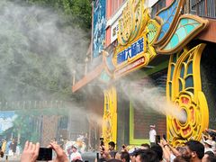 -西双版纳原始森林公园