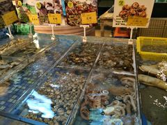 -禄海渔港(九堡店)