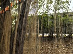 -北海金海湾红树林生态旅游区