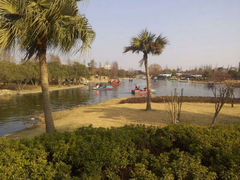 android_upload_pic-河泥荡文化公园