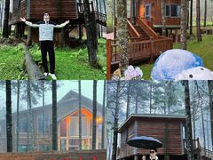 -洛阳白云山景区