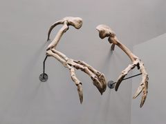 -重庆自然博物馆(新馆)