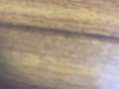 -观澜湖生态运动公社